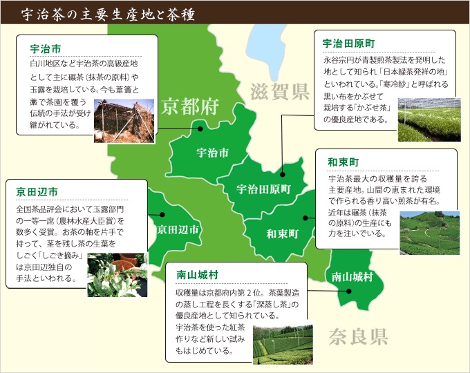 宇治茶主要產地